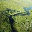 delta Okavango